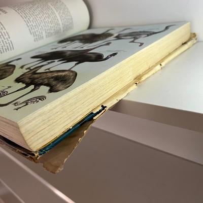 Vintage Binoculars & Bird Books - Includes 1937 ‘The Birds of America’ Audubon (LR-RG)