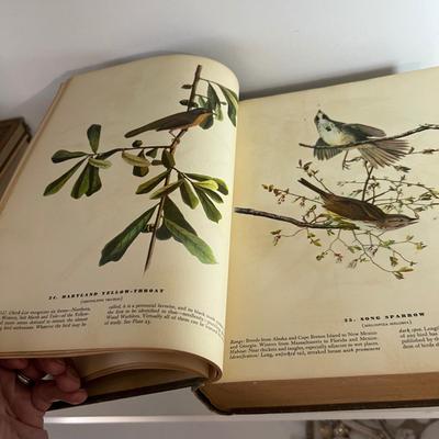 Vintage Binoculars & Bird Books - Includes 1937 ‘The Birds of America’ Audubon (LR-RG)