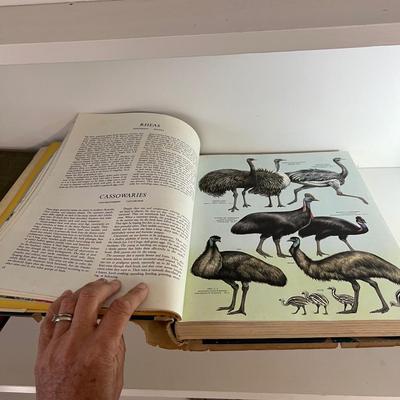 Vintage Binoculars & Bird Books - Includes 1937 ‘The Birds of America’ Audubon (LR-RG)