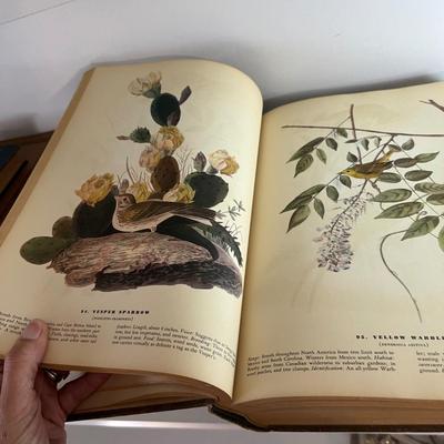 Vintage Binoculars & Bird Books - Includes 1937 ‘The Birds of America’ Audubon (LR-RG)