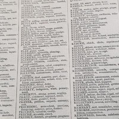 Vintage Ledgers and Rulers (DR-KD)