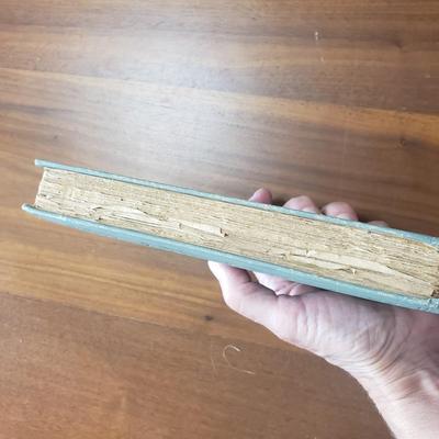 Religion and Antique Bibles from 1800s (DR-KD)