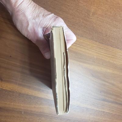 Religion and Antique Bibles from 1800s (DR-KD)