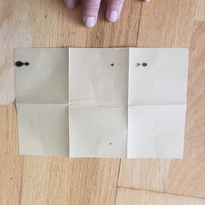 Interesting Antique Documents incl. Dog License, Telegraphs, & Much More (DR-KD)