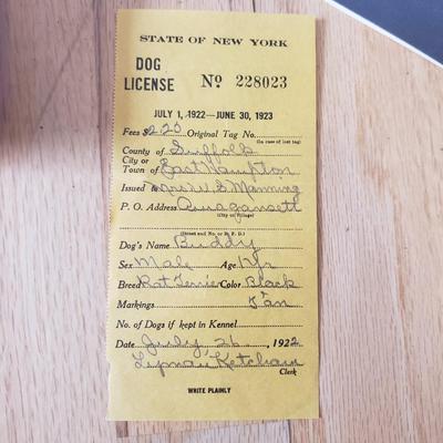 Interesting Antique Documents incl. Dog License, Telegraphs, & Much More (DR-KD)