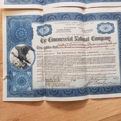 Interesting Antique Documents incl. Dog License, Telegraphs, & Much More (DR-KD)