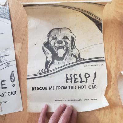 Interesting Antique Documents incl. Dog License, Telegraphs, & Much More (DR-KD)