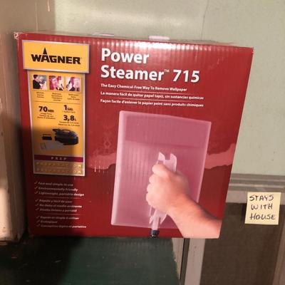 Wagner power steamer 715