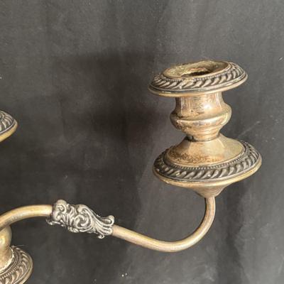 Two Large Elegant Candelabras (DR-DZ)