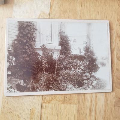 Horse Themed Photos, Books and More (LR-KD)