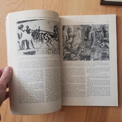 Horse Themed Photos, Books and More (LR-KD)