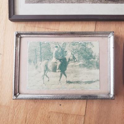 Horse Themed Photos, Books and More (LR-KD)