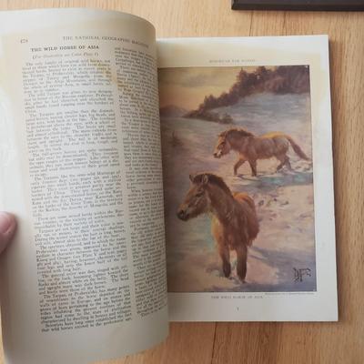 Horse Themed Photos, Books and More (LR-KD)