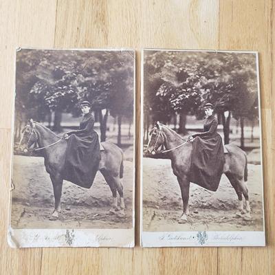 Horse Themed Photos, Books and More (LR-KD)