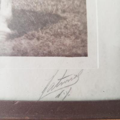 Horse Themed Photos, Books and More (LR-KD)