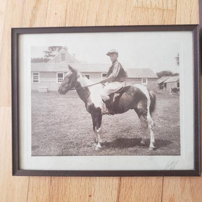 Horse Themed Photos, Books and More (LR-KD)