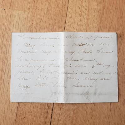 Horse Themed Photos, Books and More (LR-KD)