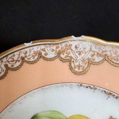 Fabrique Par Haviland & Co Plate Collection (DR-DZ)