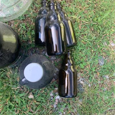 Glass Bottles Lot