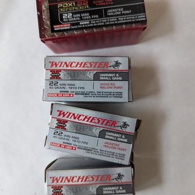 Winchester 22 Ammunition