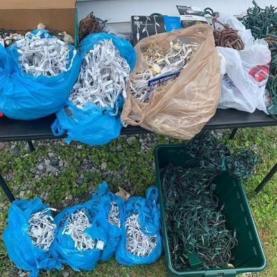 HUGE Christmas Tree Lights Lot