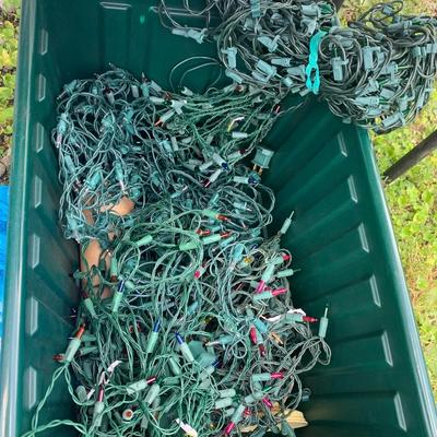 HUGE Christmas Tree Lights Lot