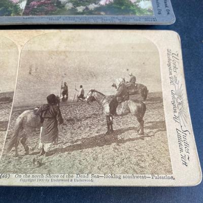 Vintage Stereograph Cards