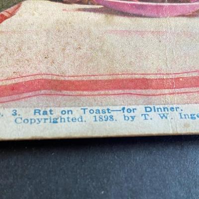 Vintage Stereograph Cards