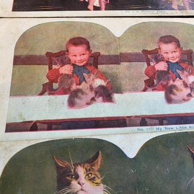 Vintage Stereograph Cards