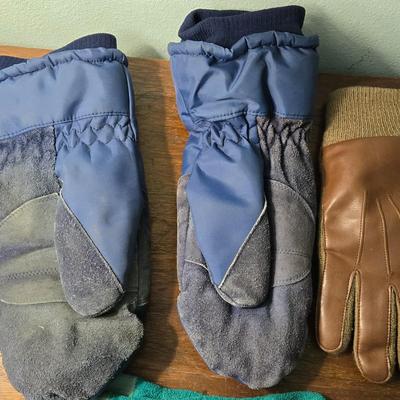 Winter Mittens and Gloves