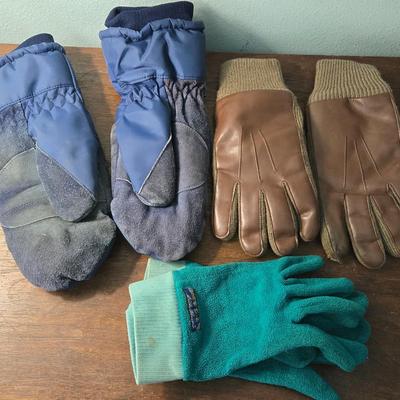 Winter Mittens and Gloves