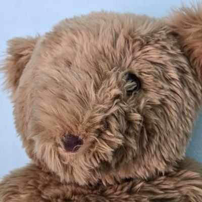Teddy Bear