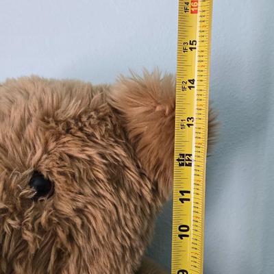 Teddy Bear