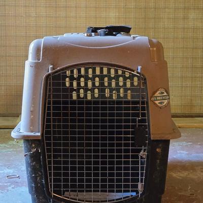 Dog Kennel