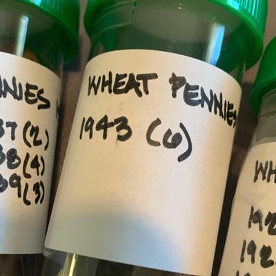 Huge Wheat Penny Lot 1913-1950s