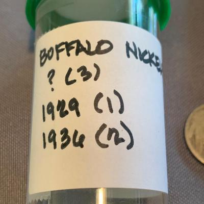 Mixed Coin Lot Buffalo Nickels / Foreign Currency