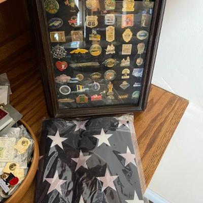 Collectible pins 