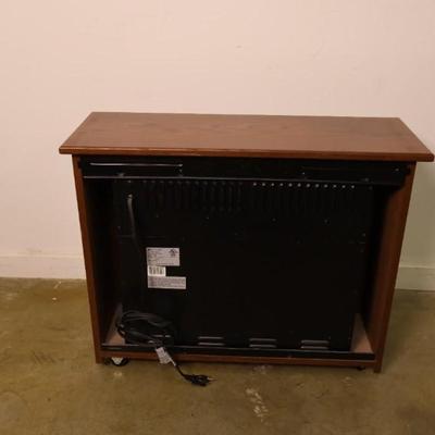 Heat Surge Fireplace Heater with Remote Control