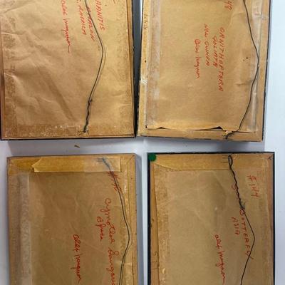 Lot of 5 Original Alex Mugmon Oil Paintings of Butterflies