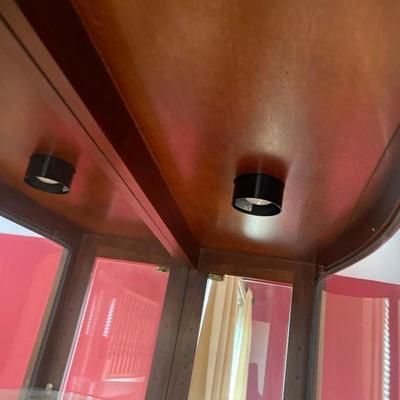 Pulaski Lighted Curio Cabinet