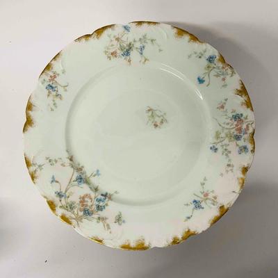 Set of 12 Haviland Limoges Dinner Plates