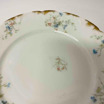 Set of 12 Haviland Limoges Dinner Plates