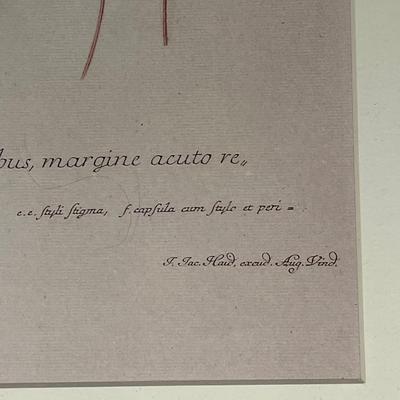 Custom Framed Botanical Print