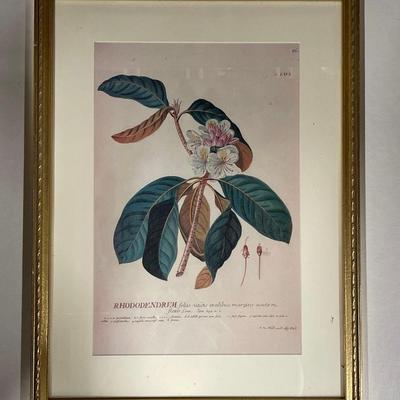 Custom Framed Botanical Print
