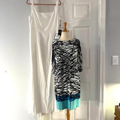 Lot 2 Adrianna Papell Dresses - 1 NWT Retail $199