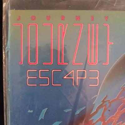 BILLY IDOL AND JOURNEY VINYL RECORDS