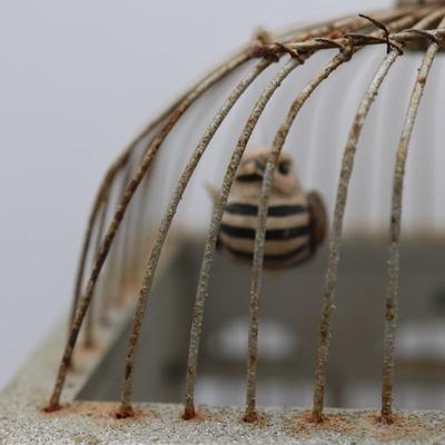 Decorated Bird Cage (See Details)