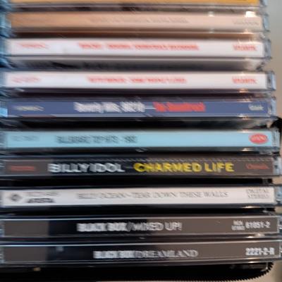 MUSIC ON CD's IN A CARRY CASE (2)