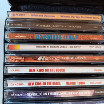 MUSIC ON CD's IN 2 CARRY CASES (2)
