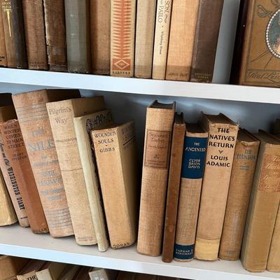 Large Assortment of Beige and Brown Books (LR-RG)